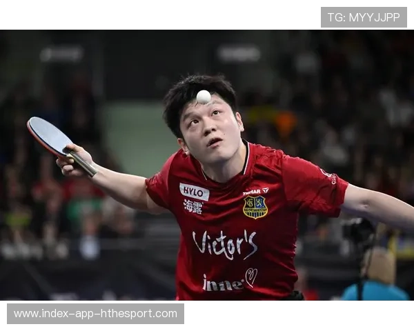 樊振东德国杯首秀告捷！率队3_0横扫对手强势晋级，樊振东与德国比赛